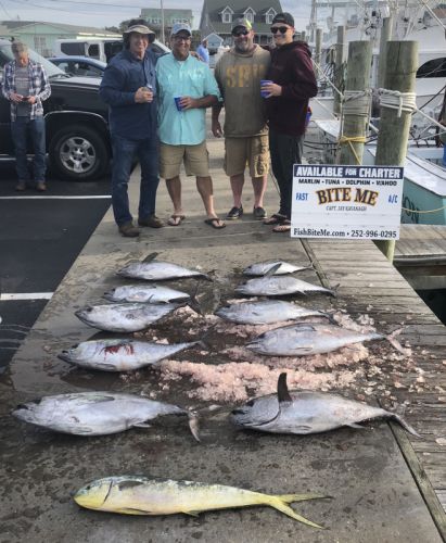 Bite Me Sportfishing Charters, Tuna Dolphin Sailfish!