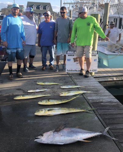 Bite Me Sportfishing Charters, Couldn't Hang on to Them!