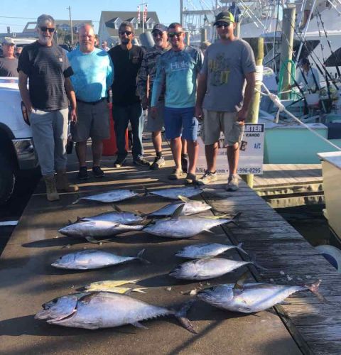 Bite Me Sportfishing Charters, Fat Blackfin Tuna