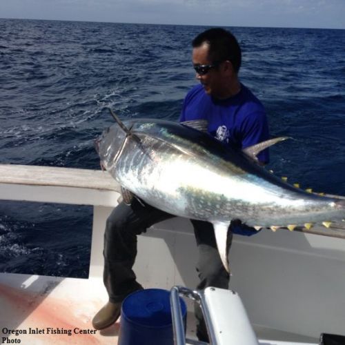 TW’s Bait & Tackle, Daily Fishing Report
