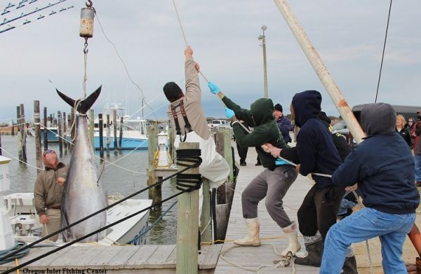 TW’s Bait & Tackle, Daily Fishing Report