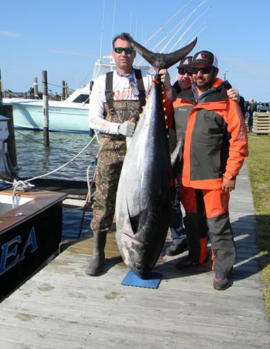 TW’s Bait & Tackle, Daily Fishing Report