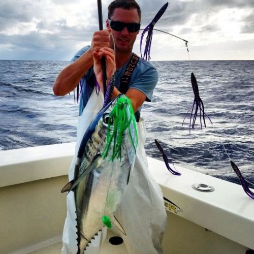TW’s Bait & Tackle, Daily Fishing Report