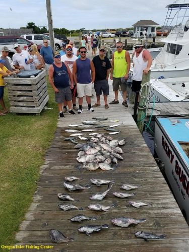 TW’s Bait & Tackle, Daily Fishing Report