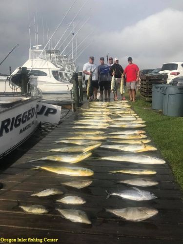 TW’s Bait & Tackle, Daily Fishing Report