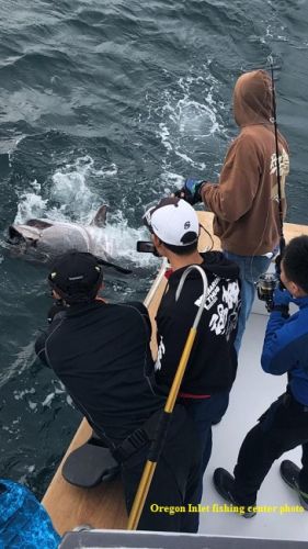 TW’s Bait & Tackle, Daily Fishing Report