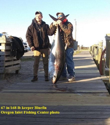 TW’s Bait & Tackle, Daily Fishing Report