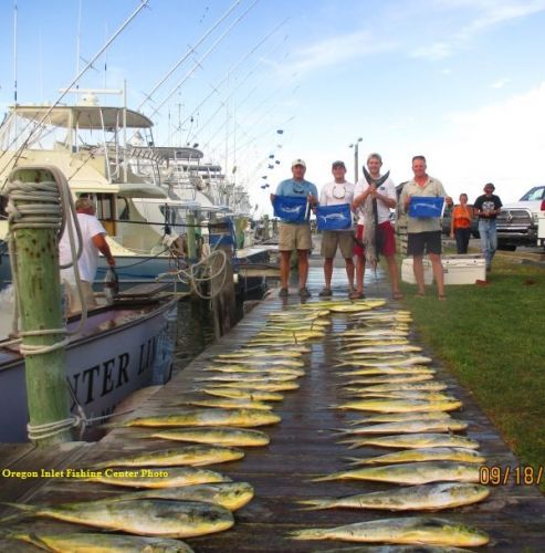 TW’s Bait & Tackle, Daily Fishing Report