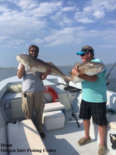 TW’s Bait & Tackle, Daily Fishing Report