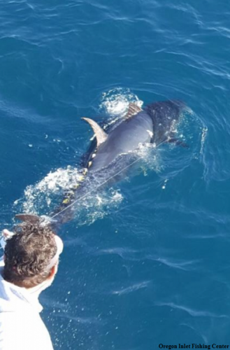 TW’s Bait & Tackle, Daily Fishing Report