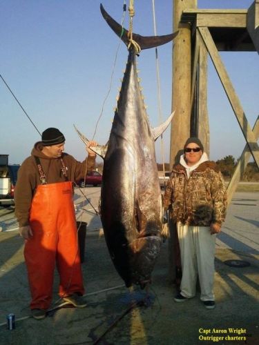 TW’s Bait & Tackle, TW's Daily Fishing Report. 1/21/16