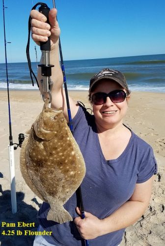 TW’s Bait & Tackle, Daily Fishing Report