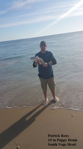 TW’s Bait & Tackle, Daily Fishing Report