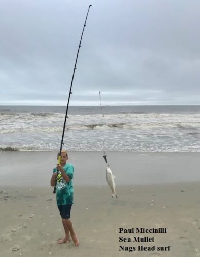 TW’s Bait & Tackle, Daily Fishing Report