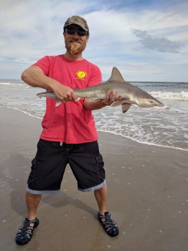 OBX Bait & Tackle Corolla Outer Banks, Corolla Fish Report