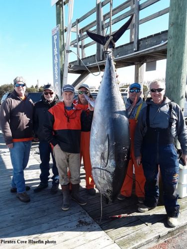 TW’s Bait & Tackle, Daily Fishing Report