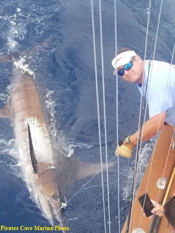 TW’s Bait & Tackle, Daily Fishing Report