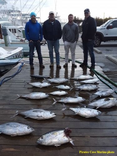 TW’s Bait & Tackle, Daily Fishing Report