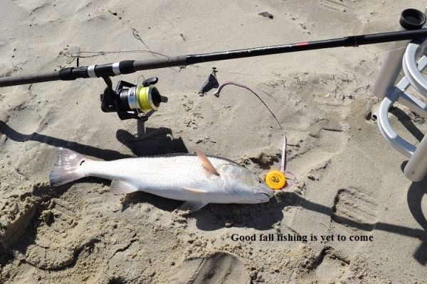 TW’s Bait & Tackle, Daily Fishing Report