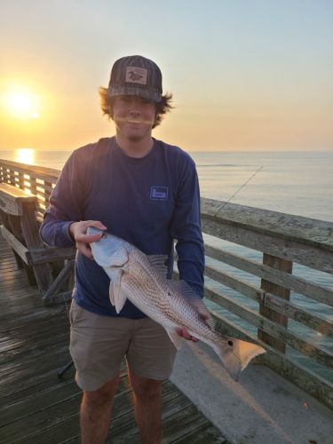 Jennette's Pier, Jennette's Pier Fishing Report