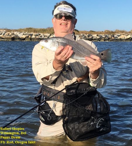 TW’s Bait & Tackle, Daily Fishing Report