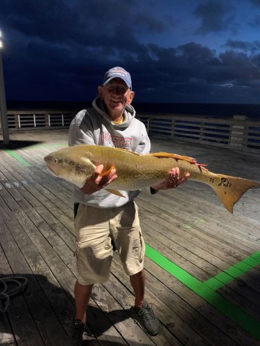 Dr. Tom Hankins with his first big red drum - 41"