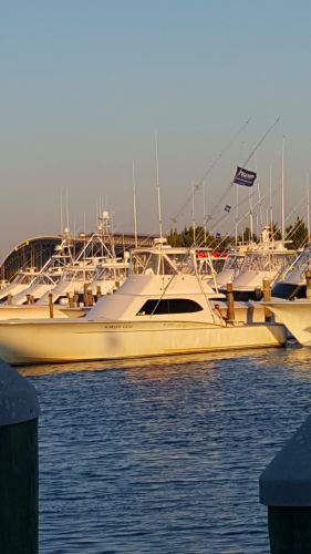 Pirate's Cove Marina, Lone Wolf...