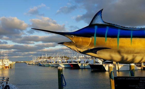 Pirate's Cove Marina, No Fishing Today..