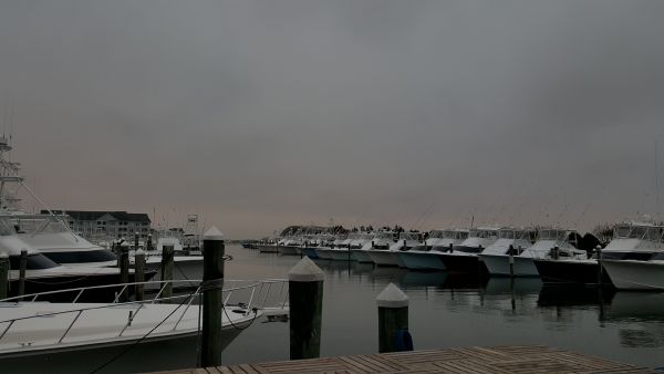 Pirate's Cove Marina, Hunkering Down!