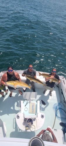 OBX Bait & Tackle Corolla Outer Banks, Corolla Fish Report