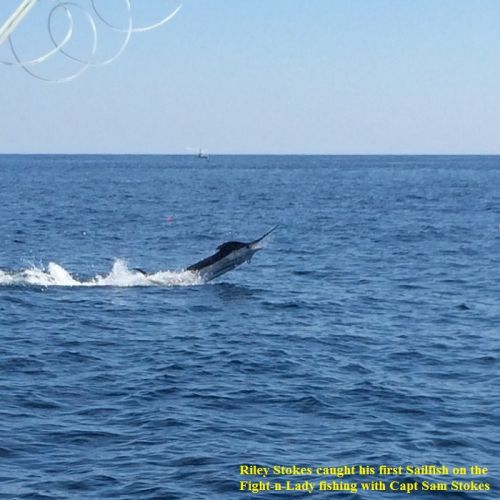 TW’s Bait & Tackle, Daily Fishing Report