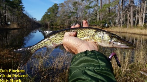 TW’s Bait & Tackle, Daily Fishing Report