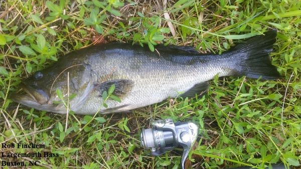 TW’s Bait & Tackle, Daily Fishing Report