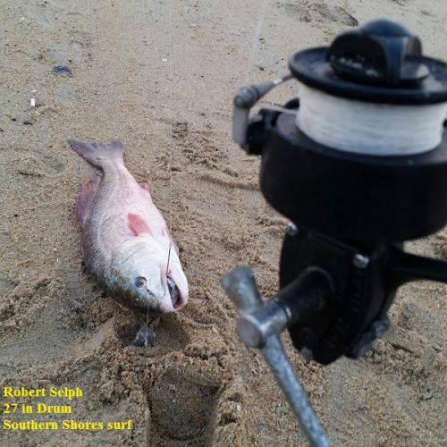 TW’s Bait & Tackle, Daily Fishing Report