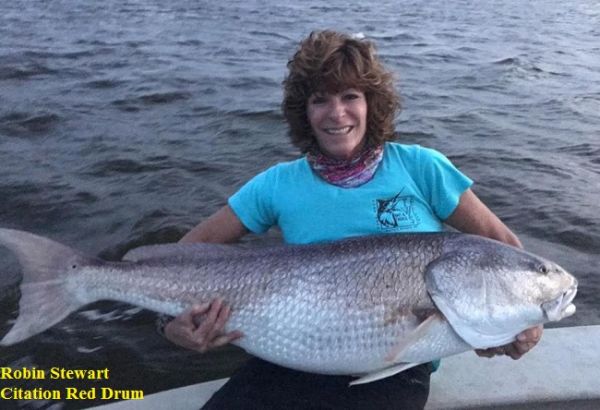 TW’s Bait & Tackle, Daily Fishing Report