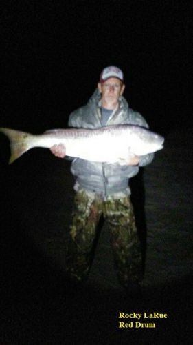 TW’s Bait & Tackle, Daily Fishing Report