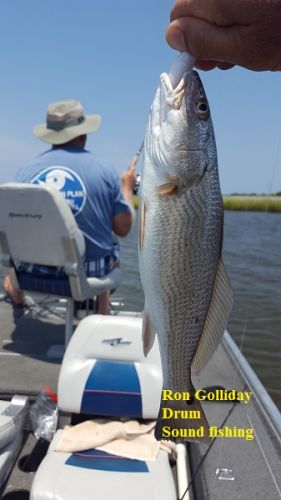 TW’s Bait & Tackle, Daily Fishing Report