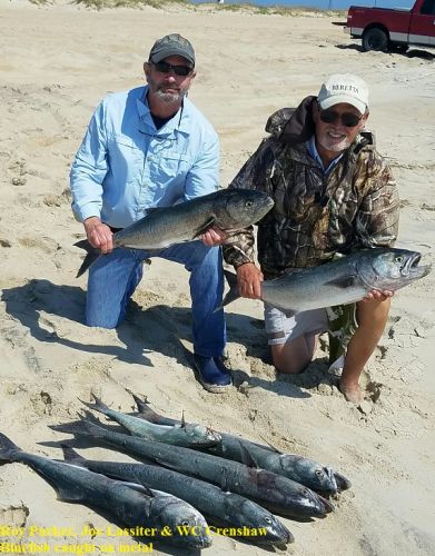 TW’s Bait & Tackle, Daily Fishing Report