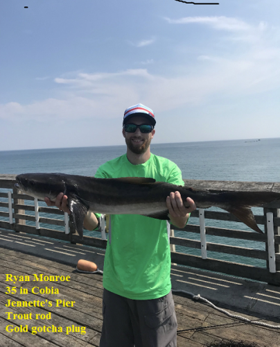 TW’s Bait & Tackle, Daily Fishing Report