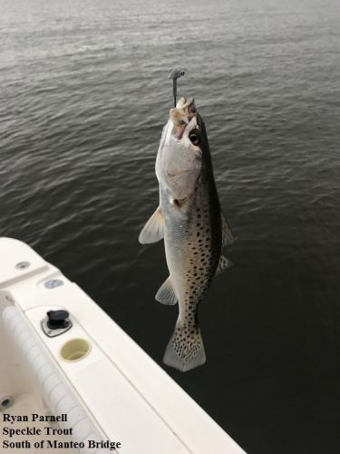 TW’s Bait & Tackle, Daily Fishing Report