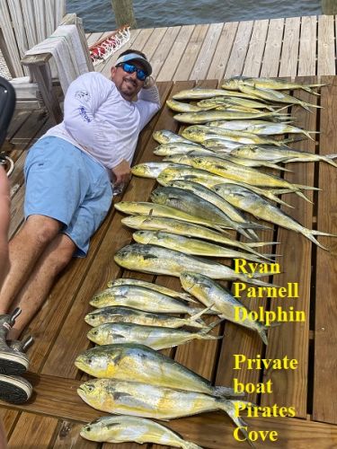 Tw fishing deals report