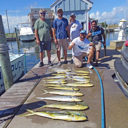 Tuna Duck Sportfishing, Sailfish Release and Dolphin Today