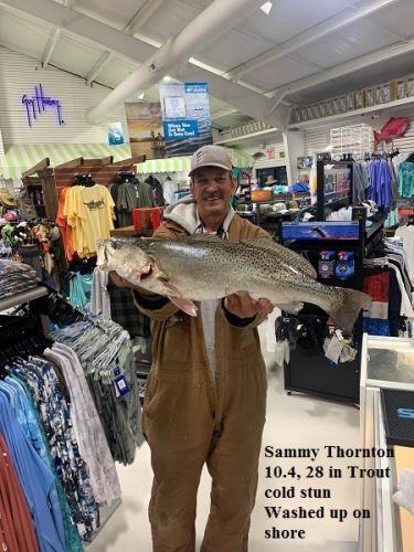 TW’s Bait & Tackle, Daily Fishing Report