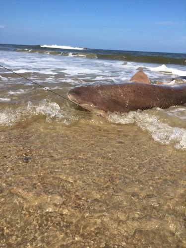 TW’s Bait & Tackle, Daily Fishing Report