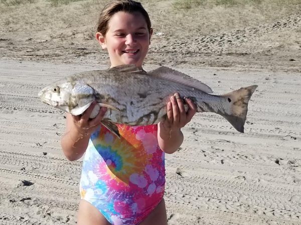 OBX Bait & Tackle Corolla Outer Banks, Corolla Fish report