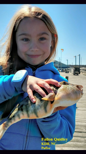 TW’s Bait & Tackle, Daily Fishing Report.