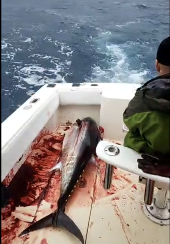 C-Legs Sportfishing, Good Weekend