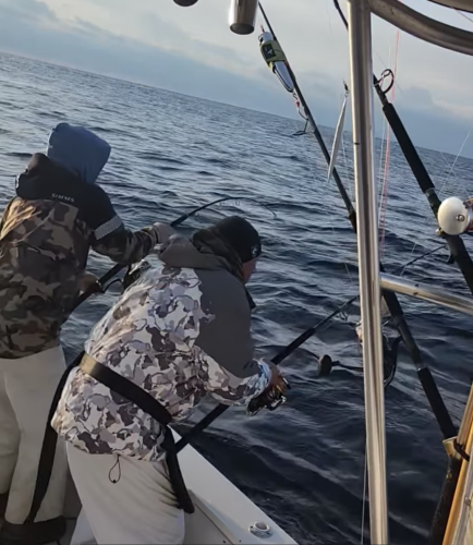 C-Legs Sportfishing, Doubled Up on Bluefin