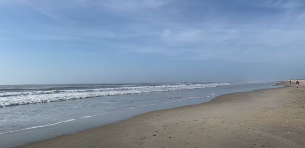 Tradewinds Tackle Shop, First "Official" Report of 2026!