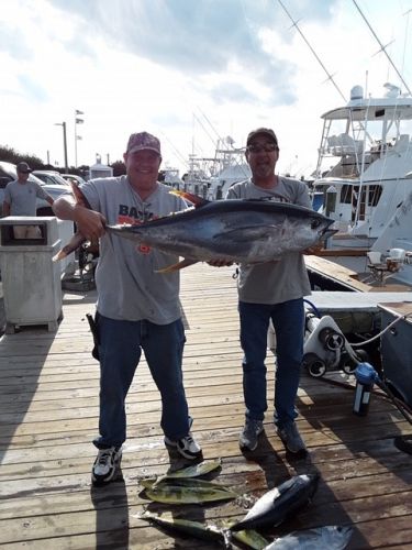 Pirate's Cove Marina, Take it to the Limit!